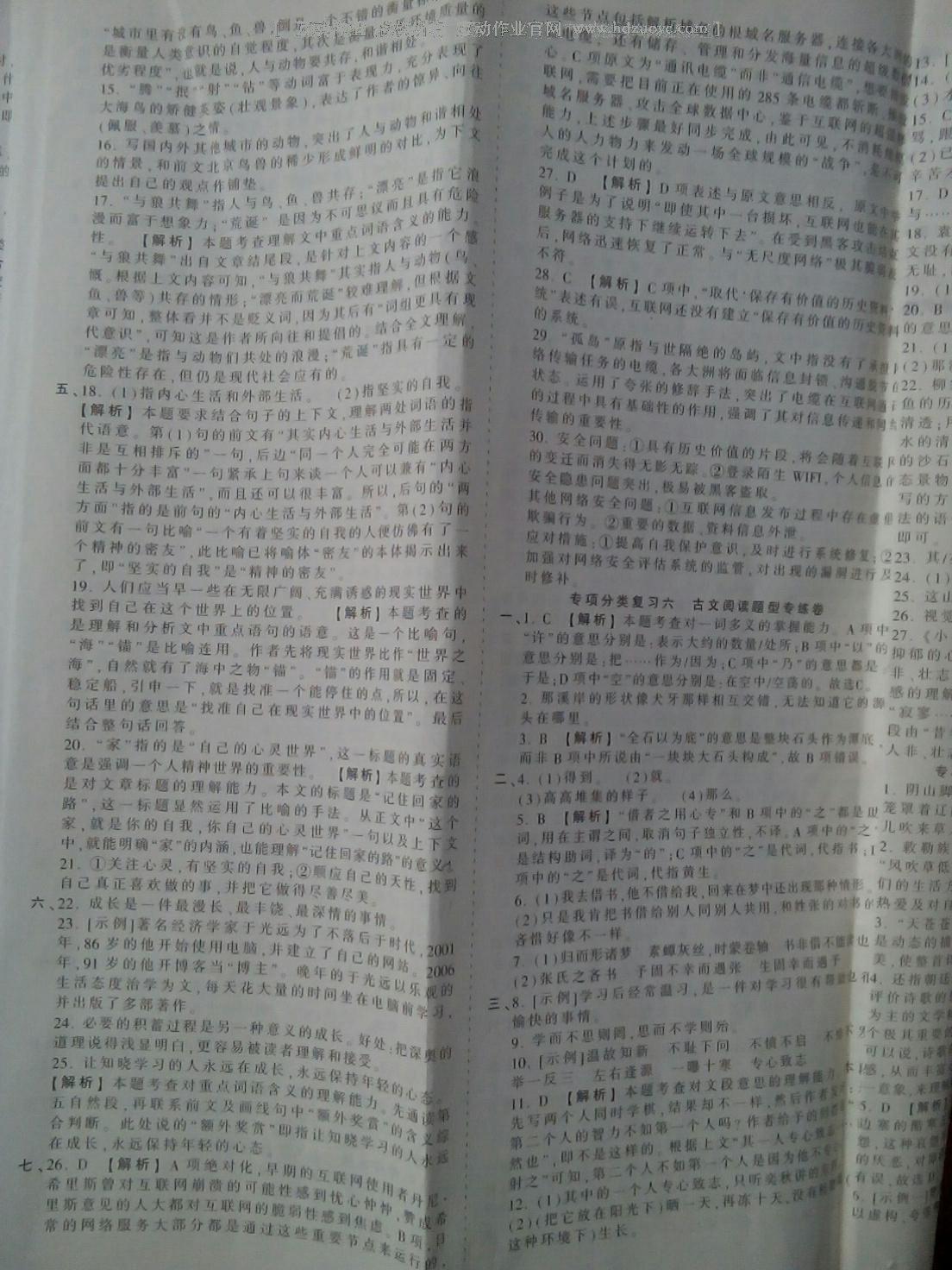 2016年王朝霞考點(diǎn)梳理時(shí)習(xí)卷八年級(jí)語(yǔ)文上冊(cè)北師大版 第11頁(yè)