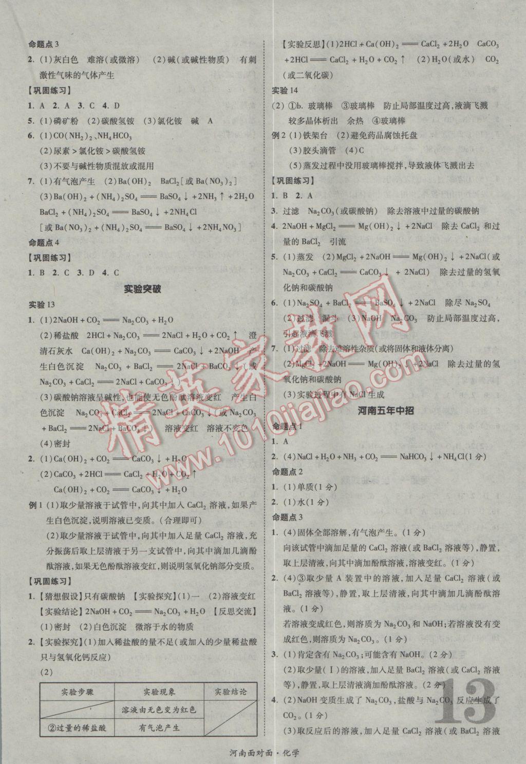 2017年河南中考面对面化学第13年第13版&nbsp;参考答案第13页