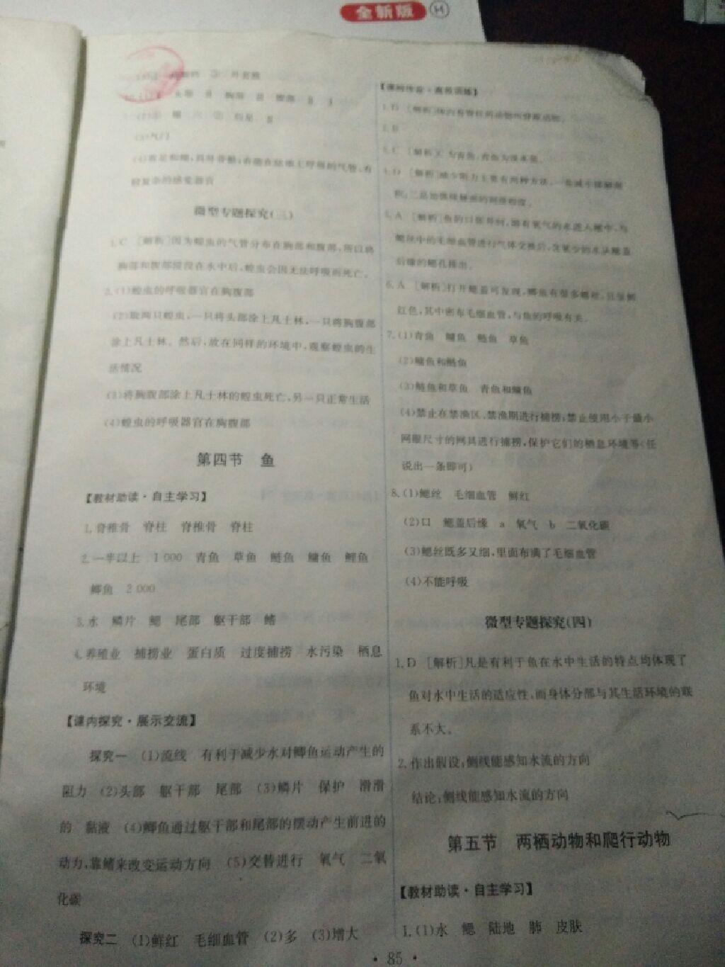 2016年能力培養(yǎng)與測試八年級生物學(xué)上冊人教版A 第13頁