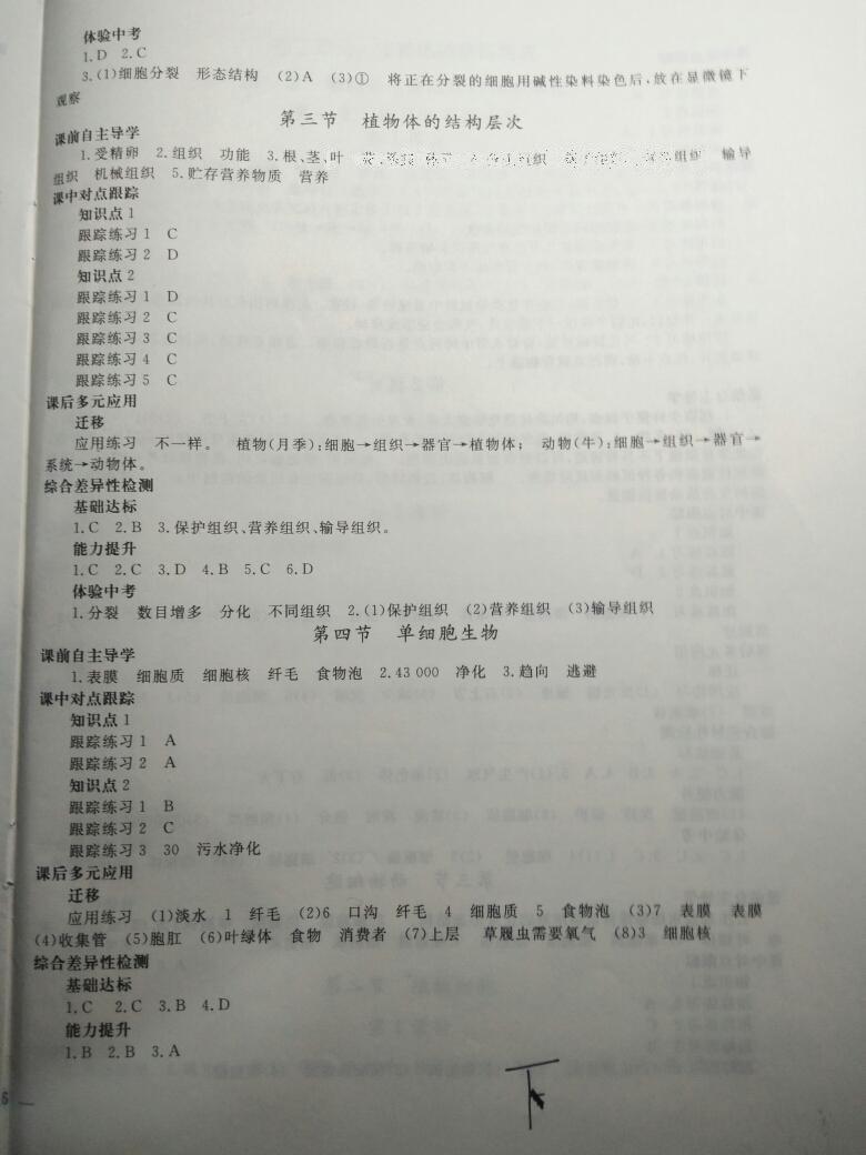 2016年同步轻松练习七年级生物学上册人教版辽宁专版 第25页