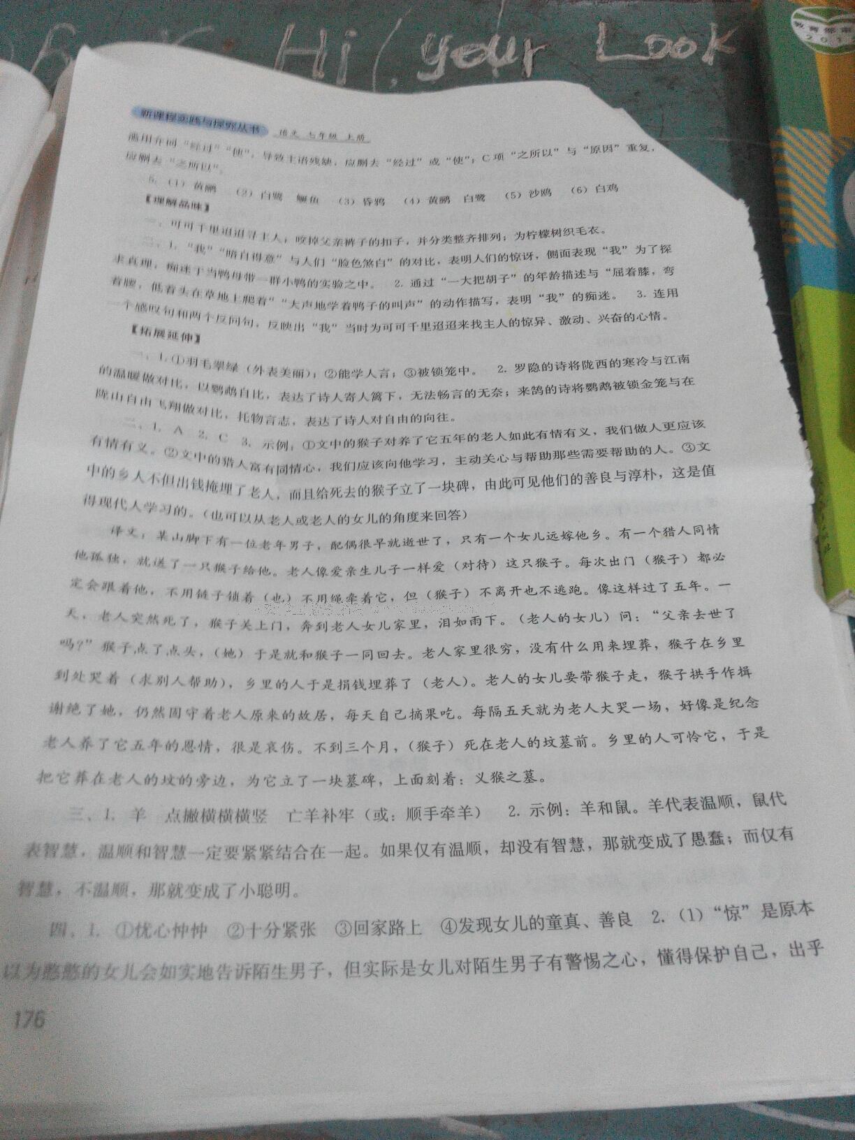 2016年單元測試七年級英語上冊人教版四川教育出版社 第48頁