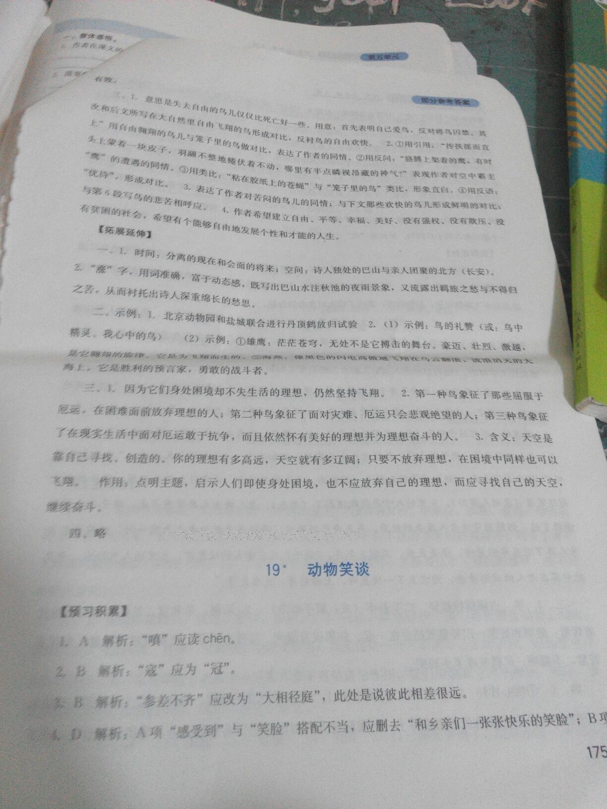 2016年單元測試七年級英語上冊人教版四川教育出版社 第47頁