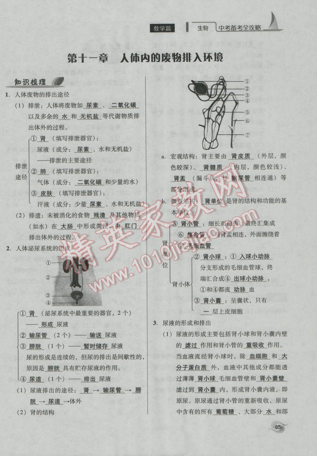 2017年中考備考全攻略生物 七年級下第65頁