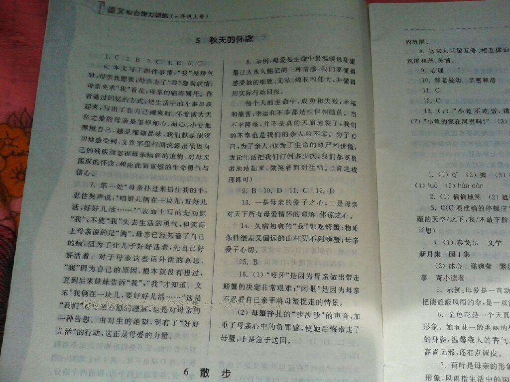 2016年綜合能力訓(xùn)練七年級(jí)語(yǔ)文上冊(cè)人教版 第29頁(yè)