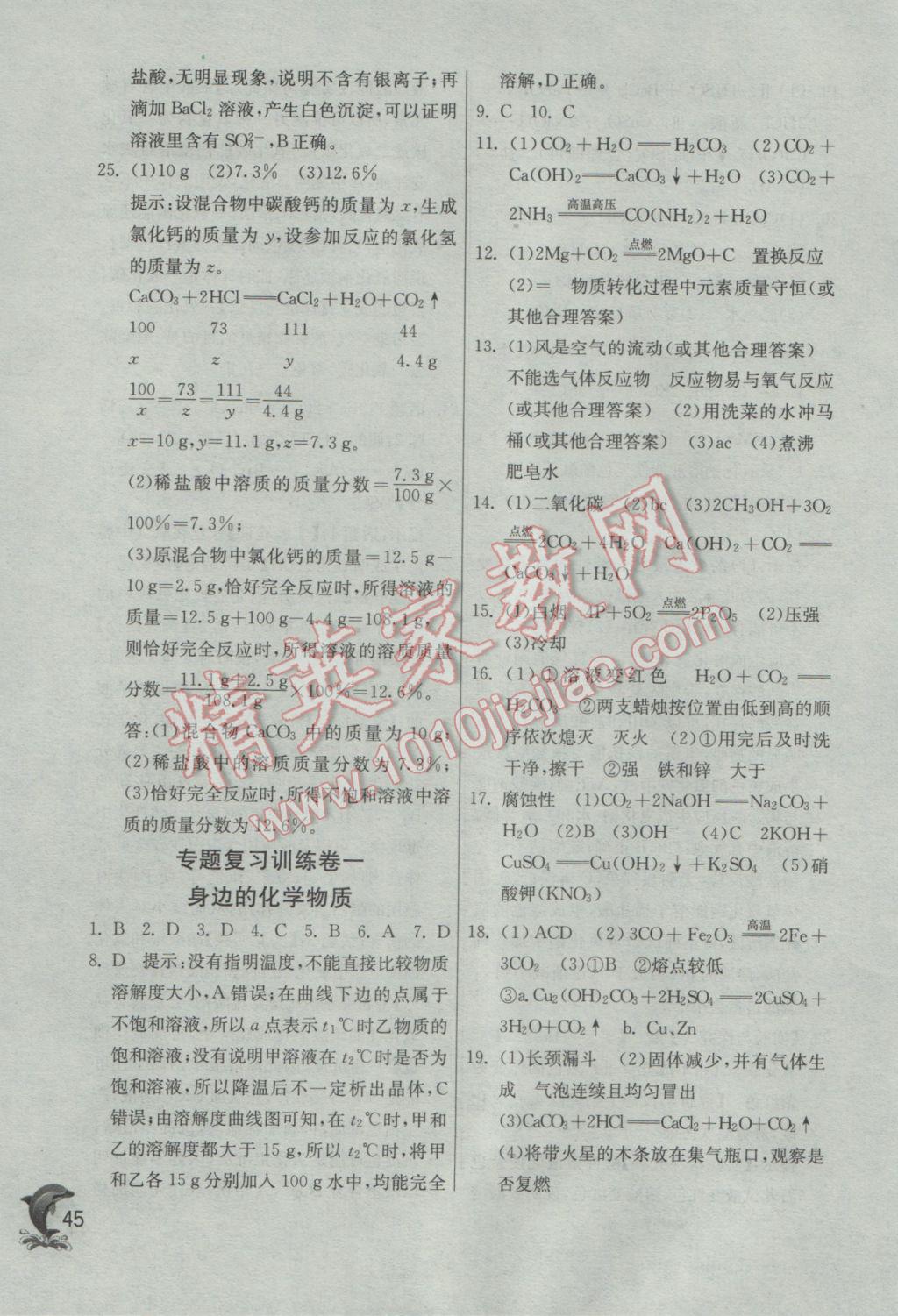 2017年实验班提优训练九年级化学下册沪教版 参考答案第45页