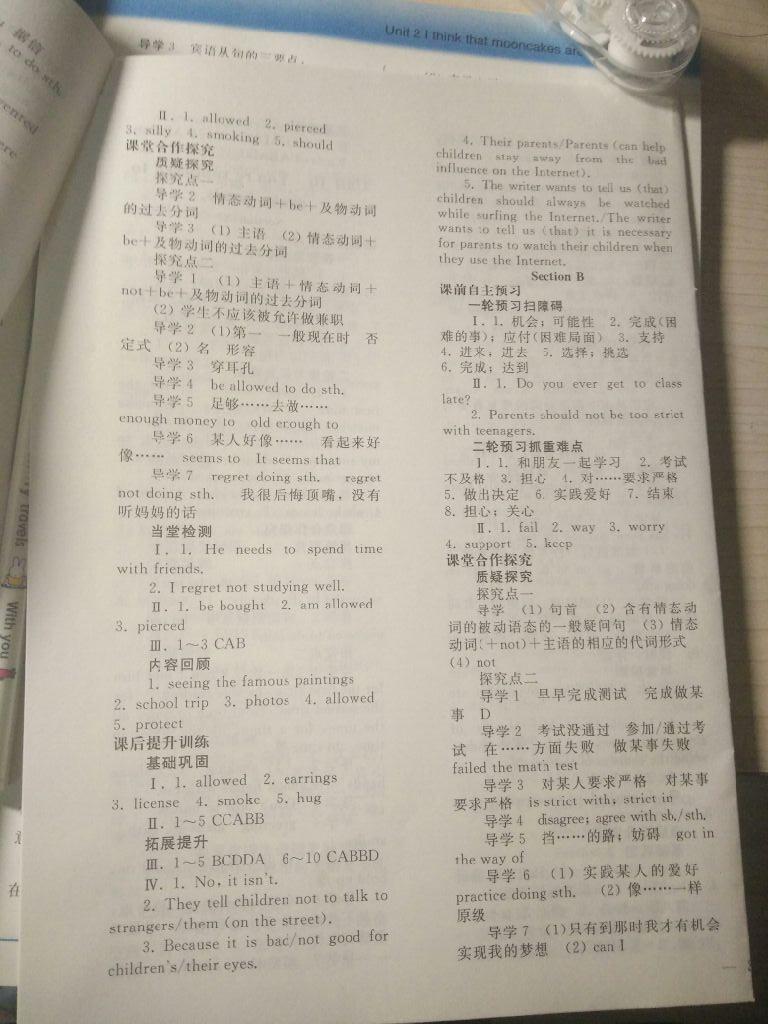 2016年同步輕松練習(xí)九年級英語全一冊人教版 第14頁