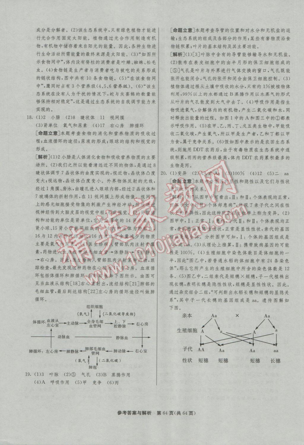 2017年春雨教育考必勝全國(guó)中考試卷精選生物 參考答案第64頁(yè)