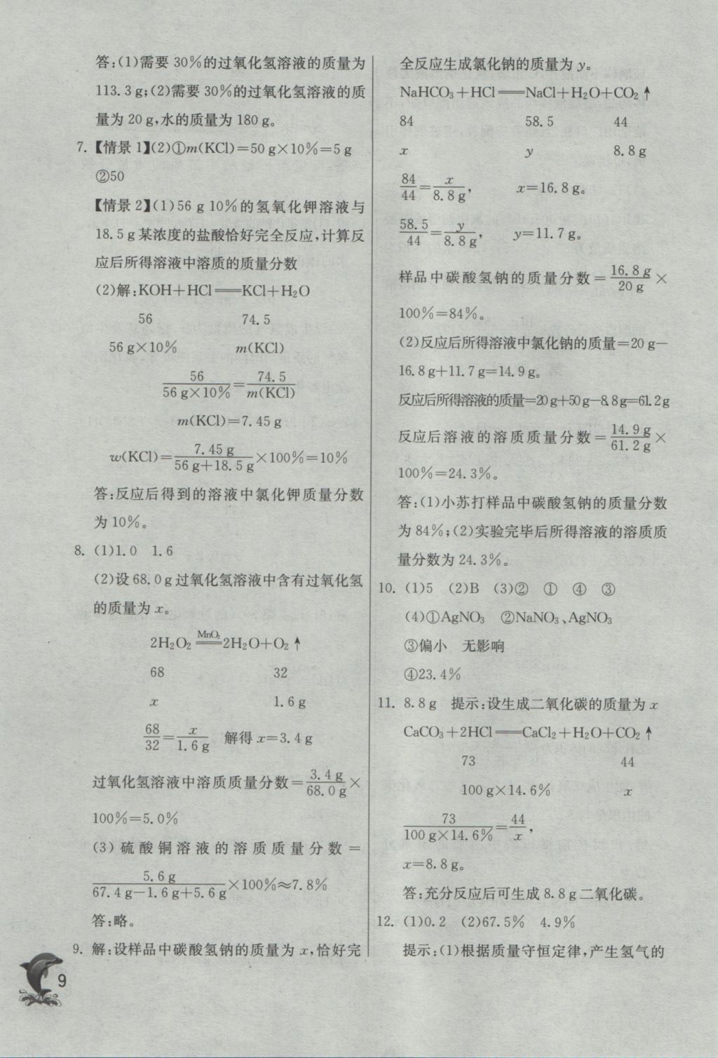 2017年实验班提优训练九年级化学下册沪教版 参考答案第9页