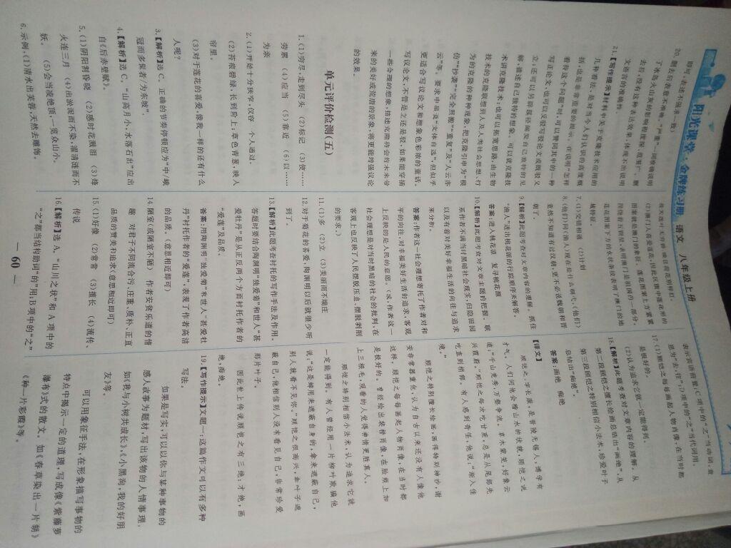 2015年陽(yáng)光課堂金牌練習(xí)冊(cè)八年級(jí)語(yǔ)文上冊(cè)人教版 第45頁(yè)