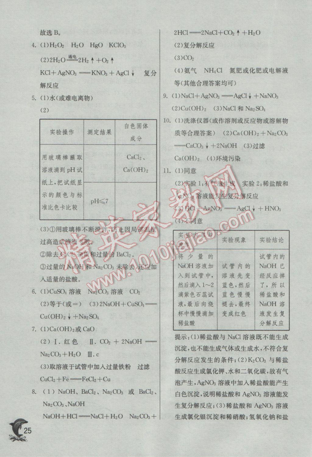 2017年实验班提优训练九年级化学下册沪教版 参考答案第25页