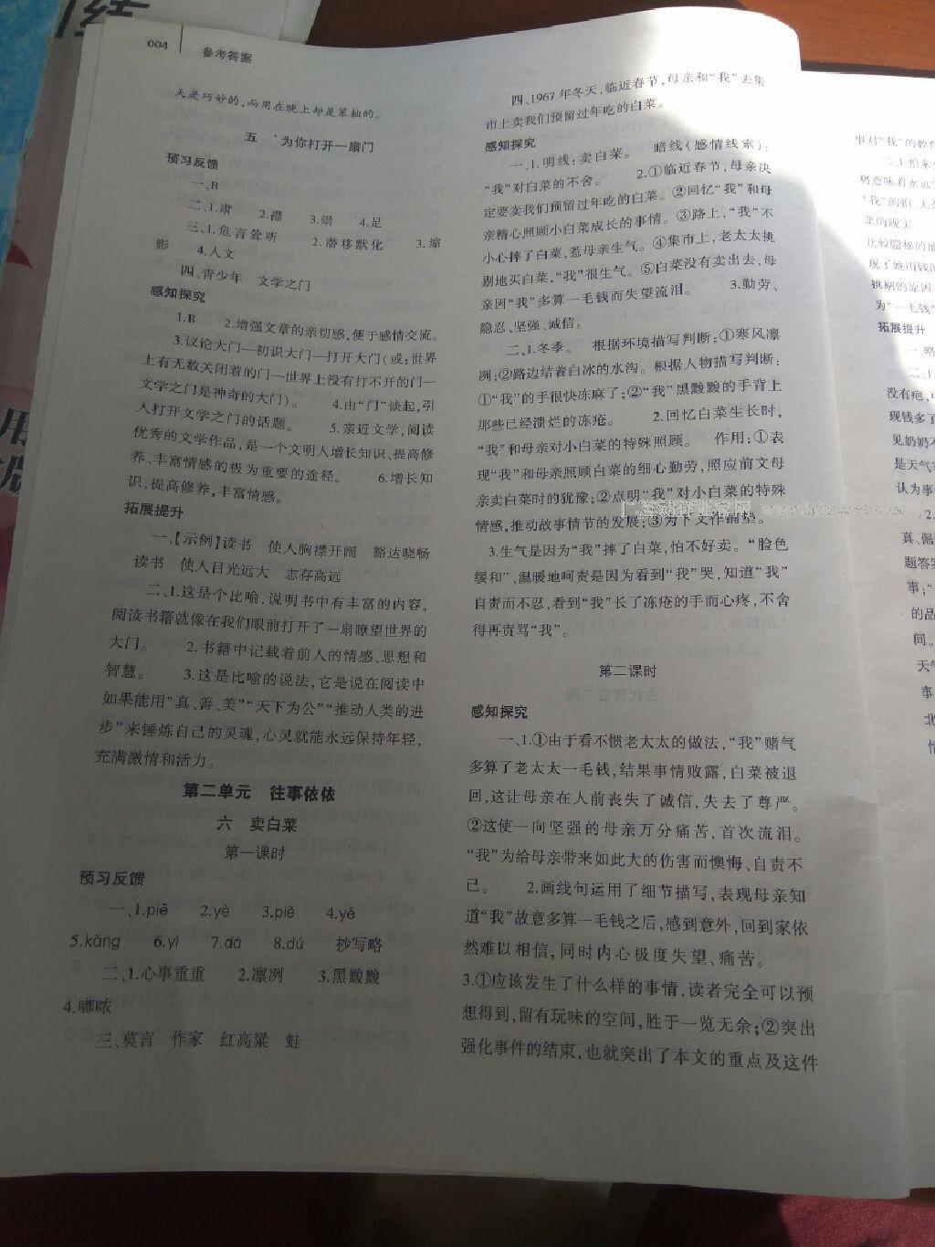 2016年基礎(chǔ)訓(xùn)練七年級語文上冊蘇教版僅限河南省使用大象出版社 第33頁