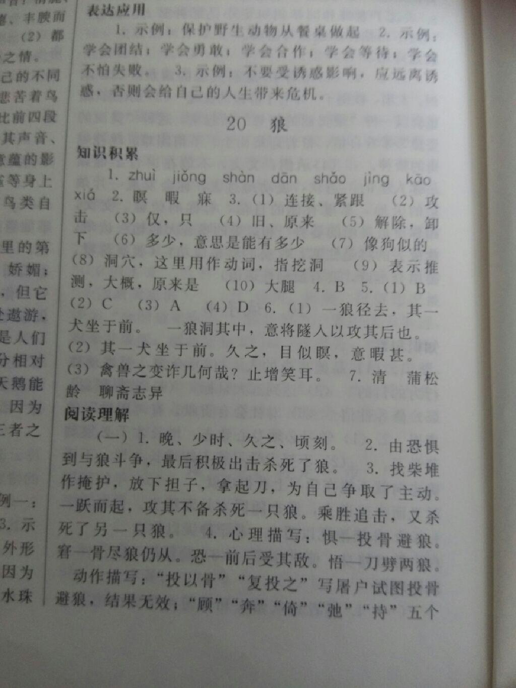 2016年同步練習冊七年級語文上冊人教版人民教育出版社X版 第33頁