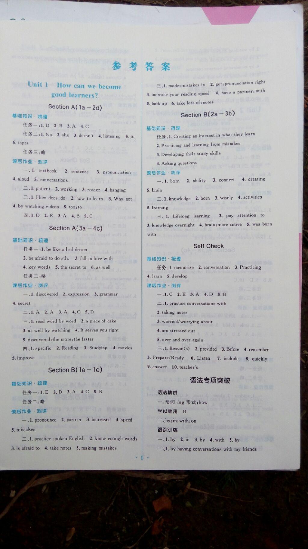 2016年人教金学典同步解析与测评学考练九年级英语全一册人教版 第2页