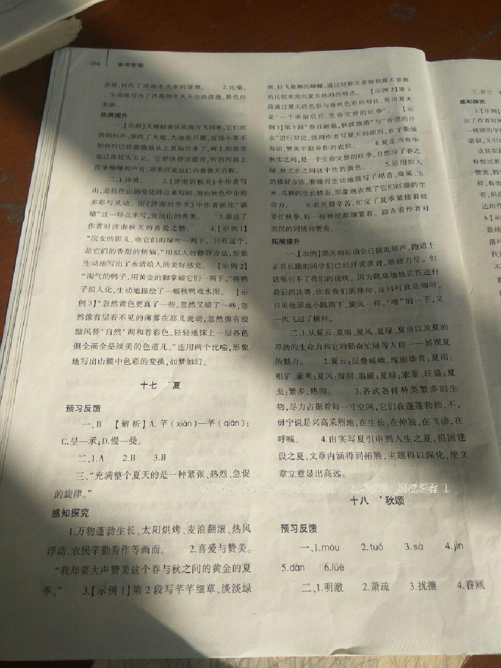 2016年基礎(chǔ)訓(xùn)練七年級語文上冊蘇教版僅限河南省使用大象出版社 第43頁