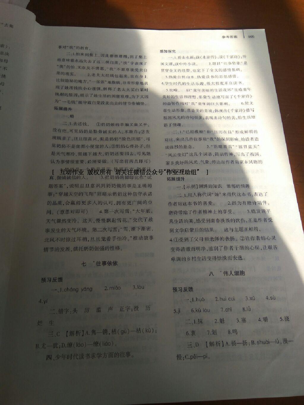 2016年基礎(chǔ)訓(xùn)練七年級語文上冊蘇教版僅限河南省使用大象出版社 第34頁