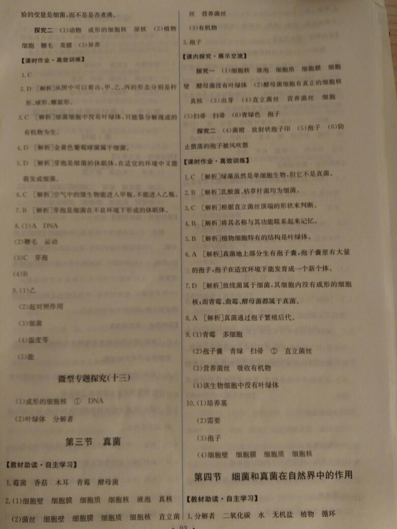 2016年能力培養(yǎng)與測試八年級生物學上冊人教版A 第31頁