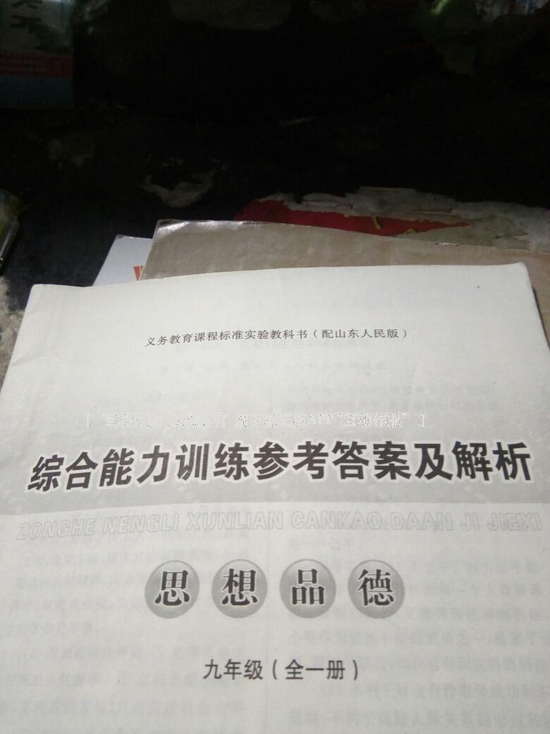 2016年综合能力训练九年级思想品德全一册山东人民版 第45页