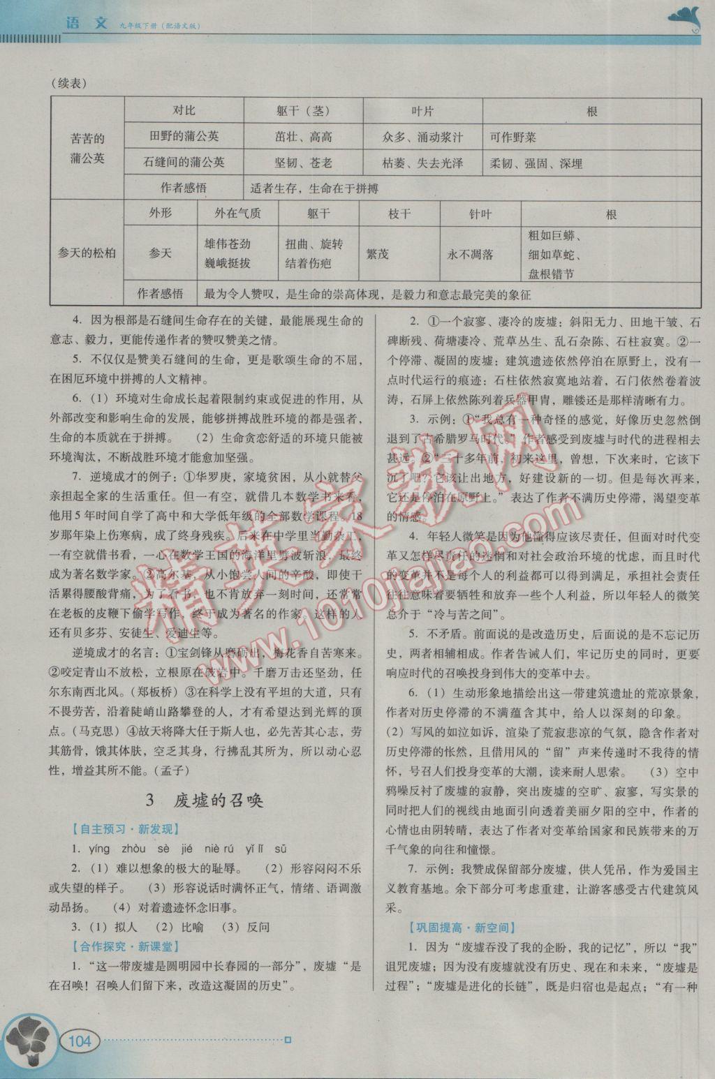 2017年南方新课堂金牌学案九年级语文下册语文版 参考答案第2页