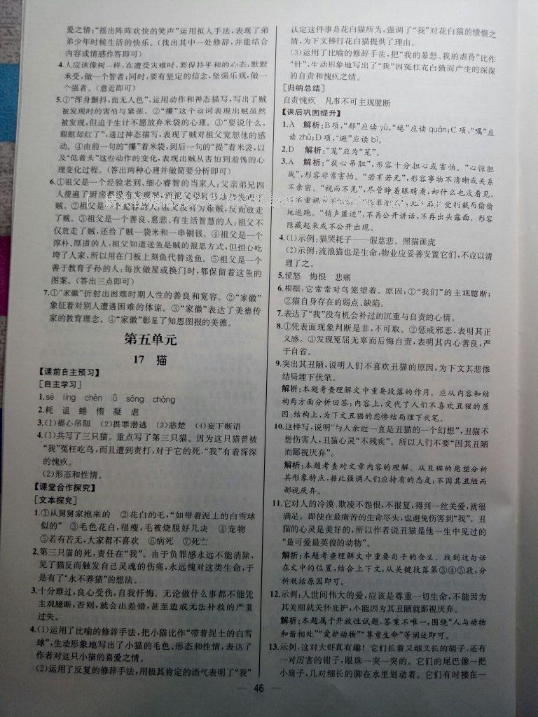 2016年同步導(dǎo)學案課時練七年級語文上冊人教版河北專版 第43頁