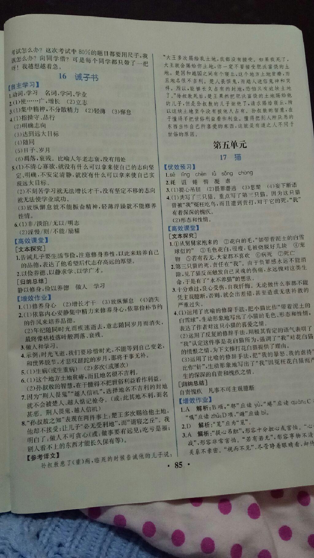 2016年人教金學(xué)典同步解析與測評七年級語文上冊人教版重慶專版 第11頁