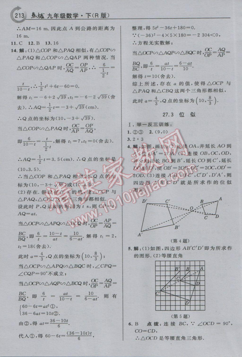 2017年特高級(jí)教師點(diǎn)撥九年級(jí)數(shù)學(xué)下冊(cè)人教版 參考答案第21頁