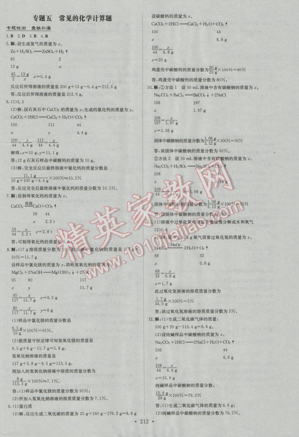 2017年中考總復習導與練精講冊化學 參考答案第10頁