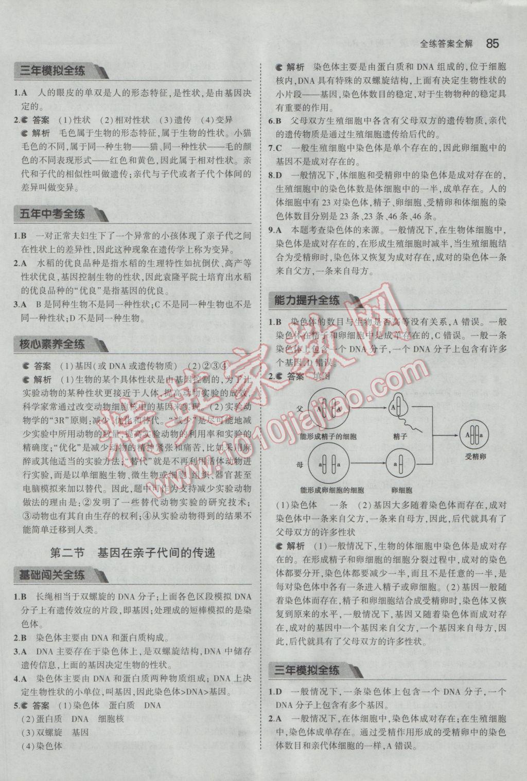 2017年5年中考3年模擬初中生物八年級下冊人教版 參考答案第7頁