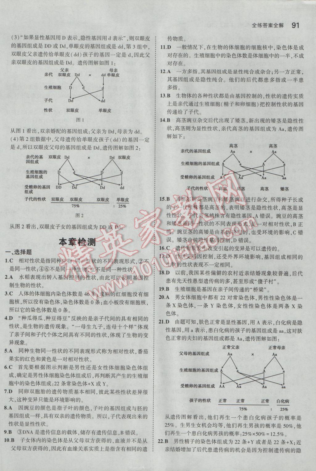 2017年5年中考3年模擬初中生物八年級下冊人教版 參考答案第13頁