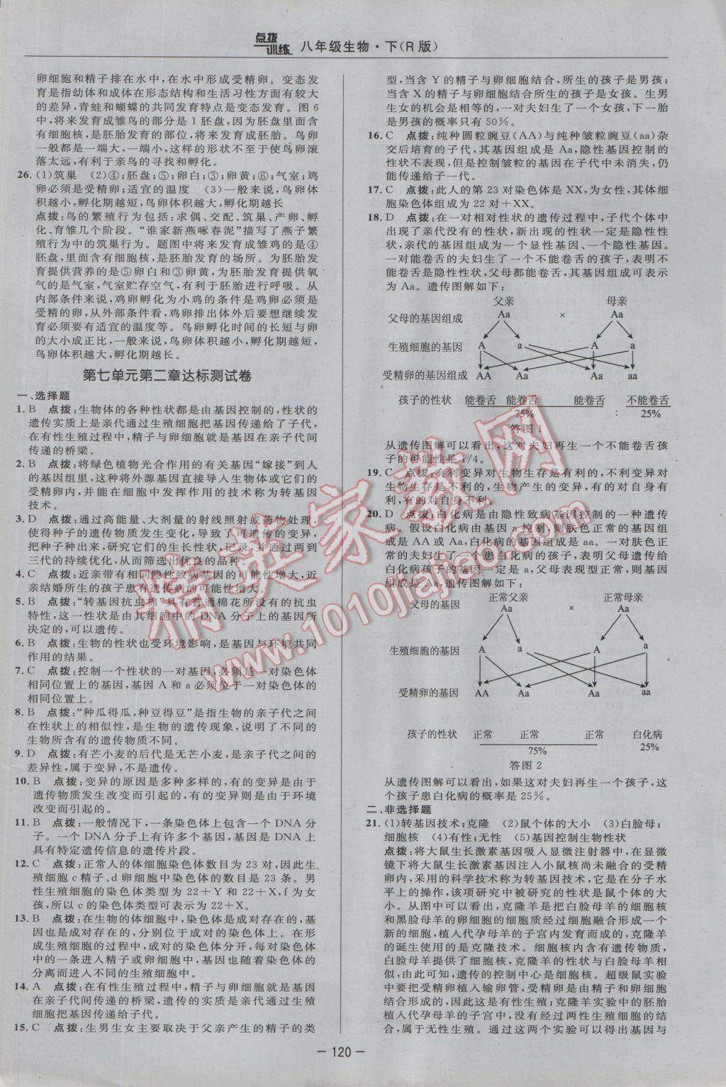 2017年點撥訓(xùn)練八年級生物下冊人教版 參考答案第2頁