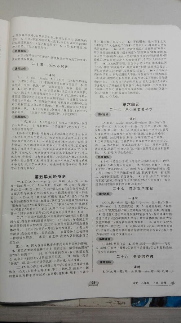 2016年新課程學(xué)習(xí)與測評同步學(xué)習(xí)八年級語文上冊B版 第11頁