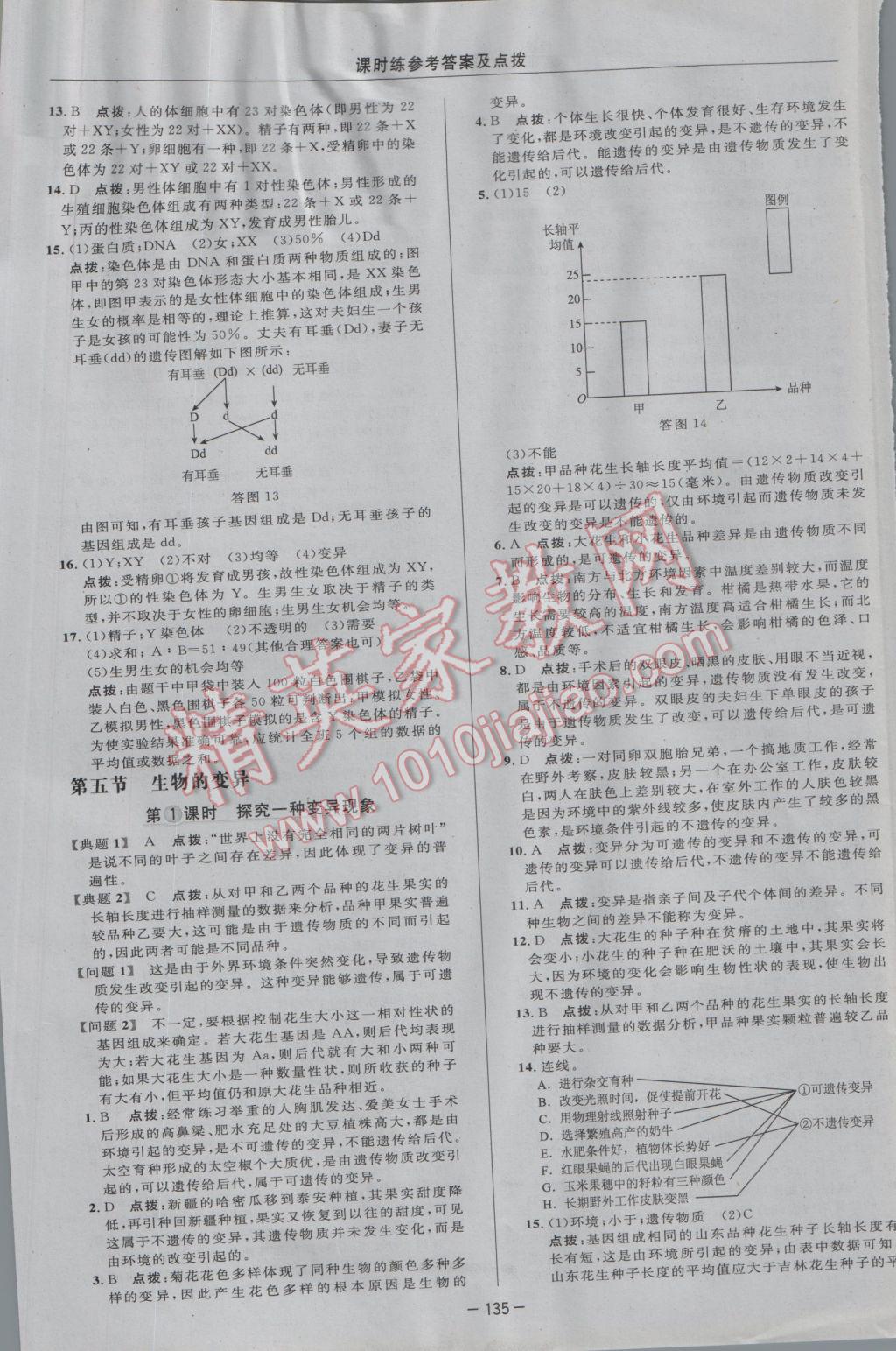 2017年點(diǎn)撥訓(xùn)練八年級(jí)生物下冊人教版 參考答案第17頁