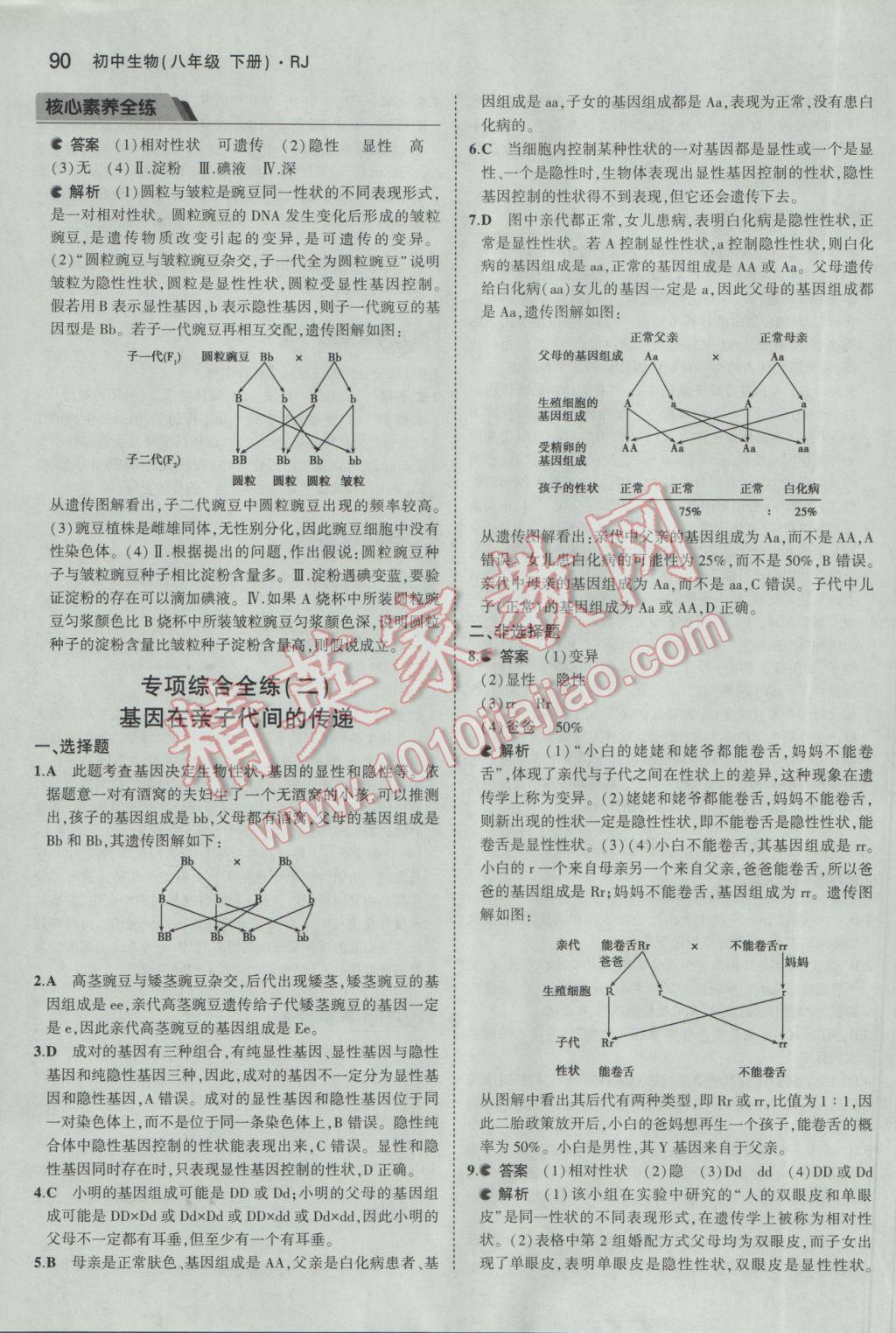 2017年5年中考3年模擬初中生物八年級(jí)下冊(cè)人教版 參考答案第12頁(yè)