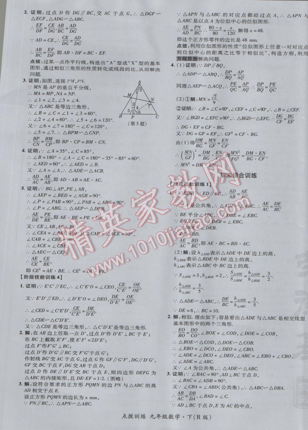 2017年点拨训练九年级数学下册人教版 参考答案第29页