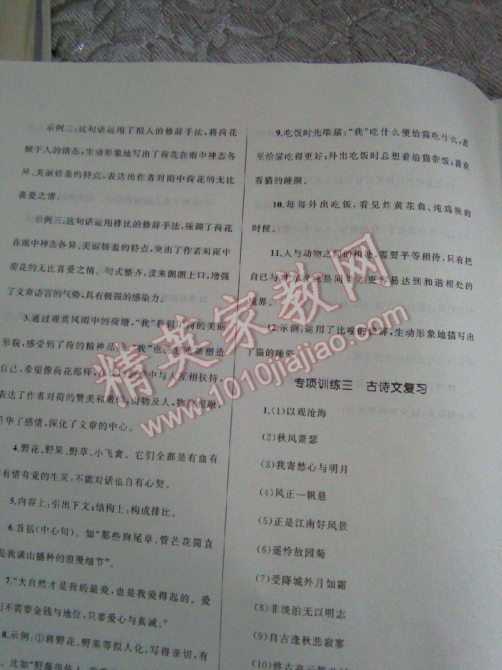 2016年湘教考苑單元測(cè)試卷七年級(jí)語(yǔ)文上冊(cè)人教版 第17頁(yè)