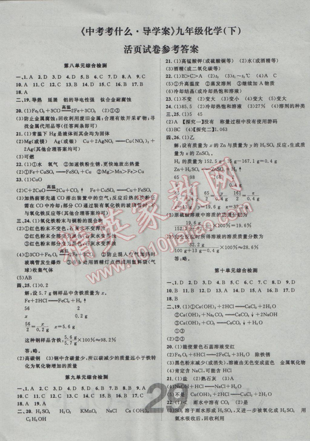 2017年河北中考考什么九年级化学下册 活页卷答案第9页