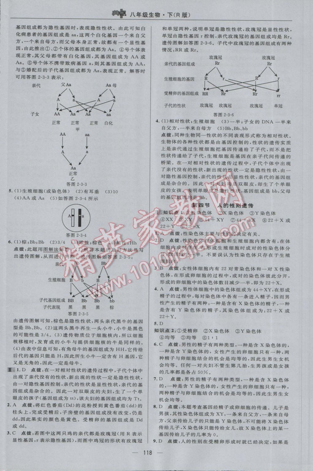 2017年綜合應(yīng)用創(chuàng)新題典中點(diǎn)八年級生物下冊人教版 參考答案第16頁