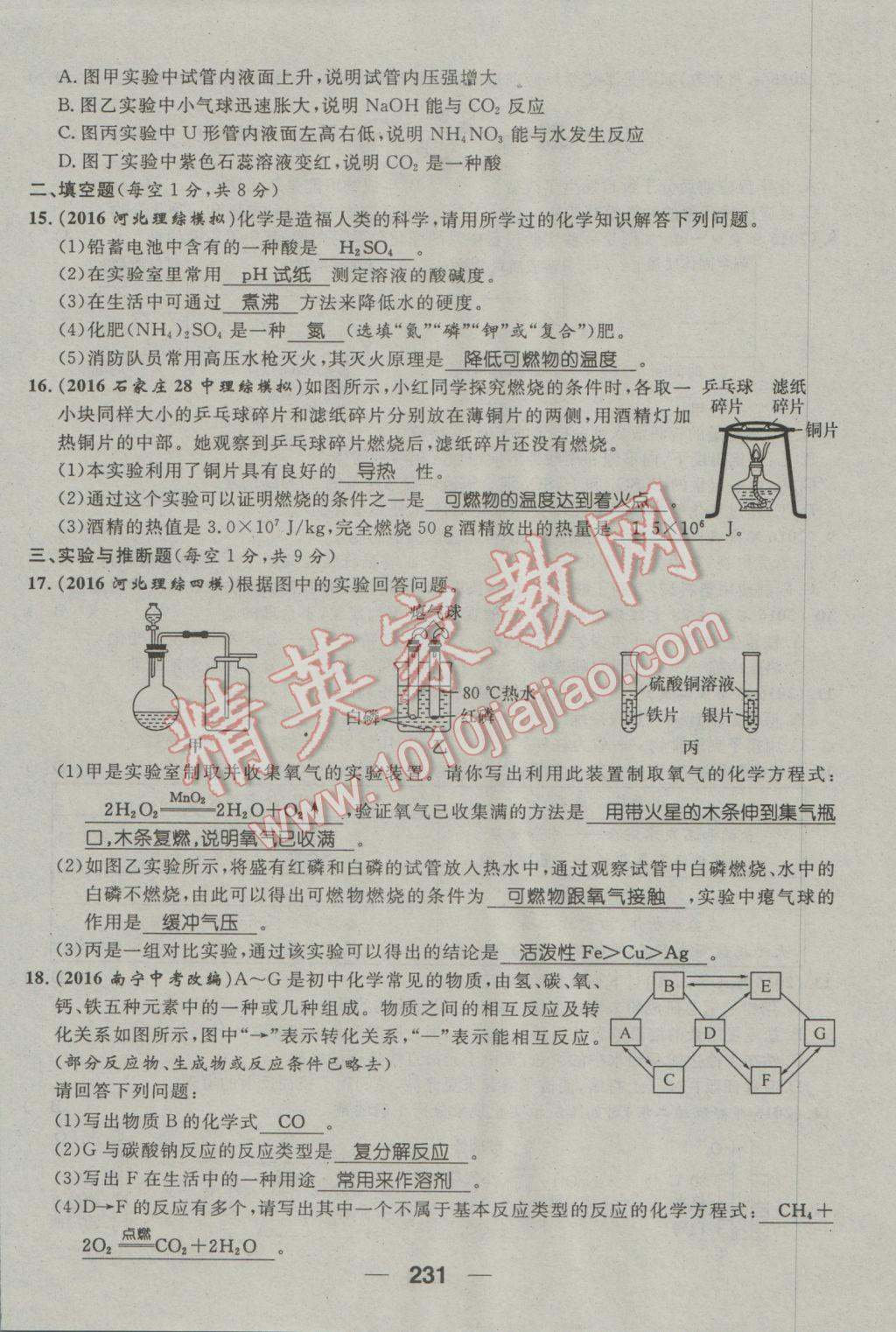 2017年鴻鵠志文化河北中考命題研究中考王化學 第三編活頁檢測卷第191頁