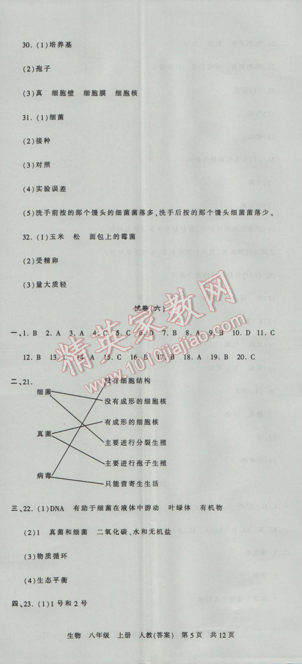 2016年王朝霞各地期末试卷精选八年级生物上册人教版河南专版 参考答案第5页