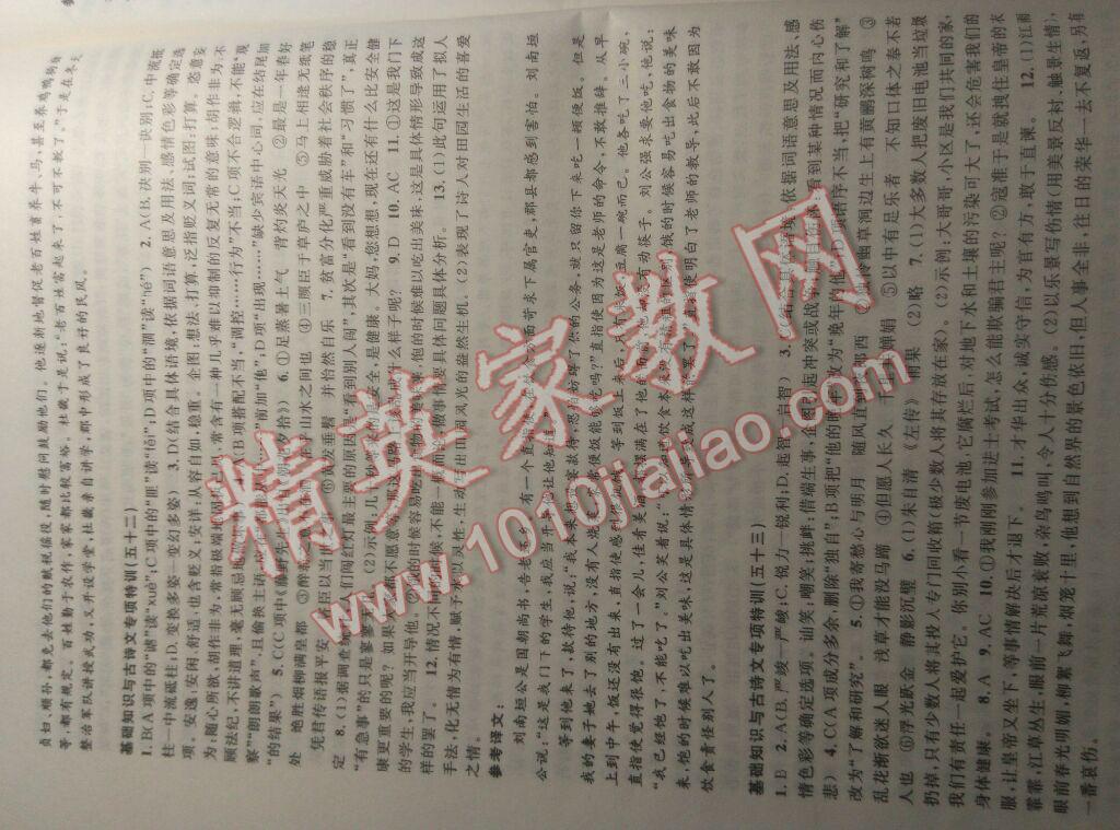 2017年中考專項突破特訓(xùn)語文基礎(chǔ)知識加古詩文 第4頁