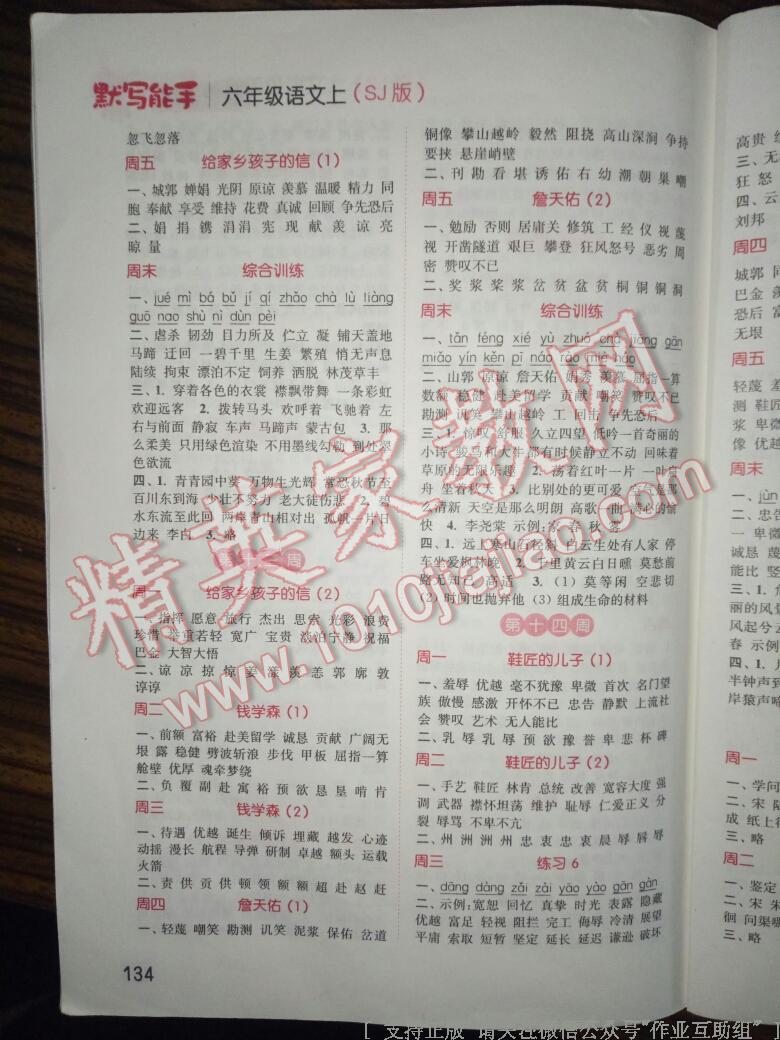 2016年通城學(xué)典小學(xué)語文默寫能手六年級語文上冊蘇教版 第17頁