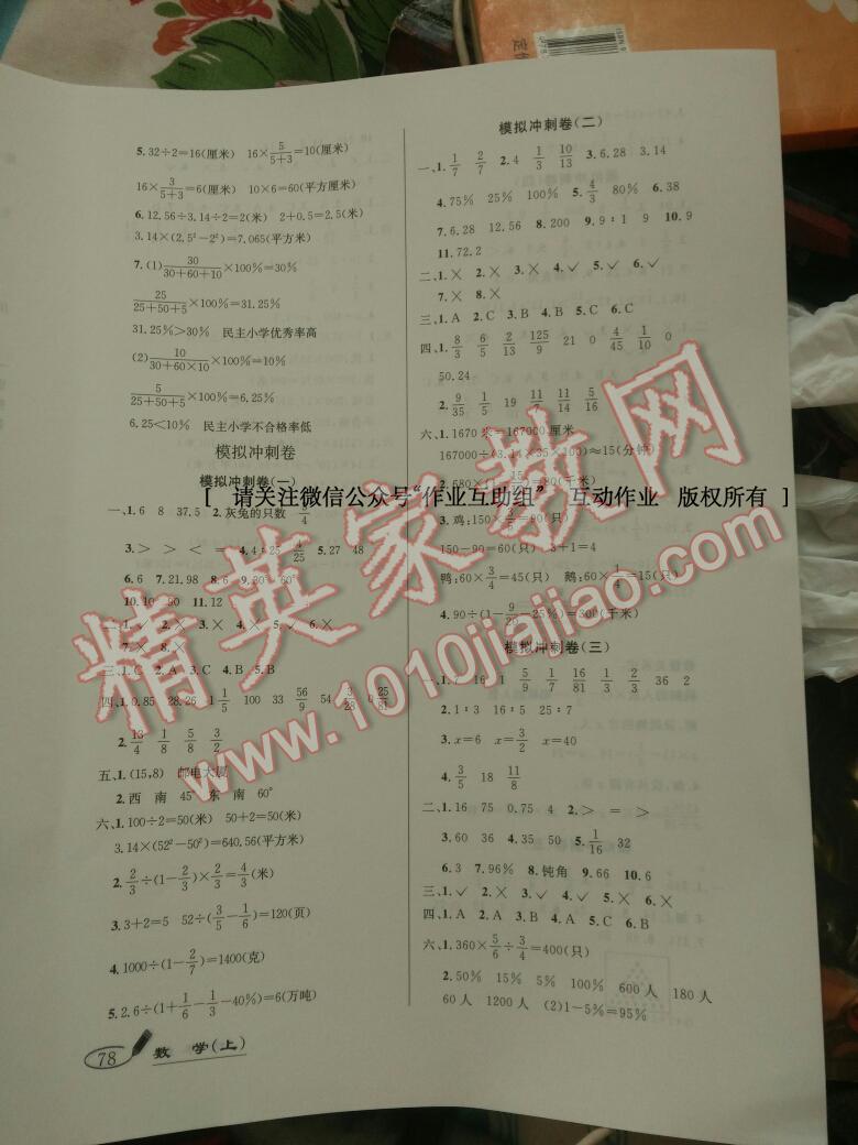 2016年亮点激活精编提优100分大试卷六年级数学上册人教版 第14页