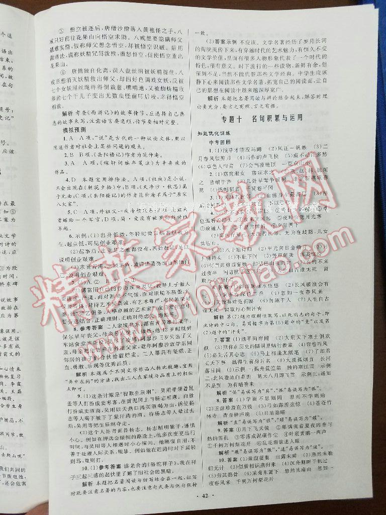 2016年初中總復(fù)習(xí)優(yōu)化設(shè)計(jì)語(yǔ)文人教版 第6頁(yè)