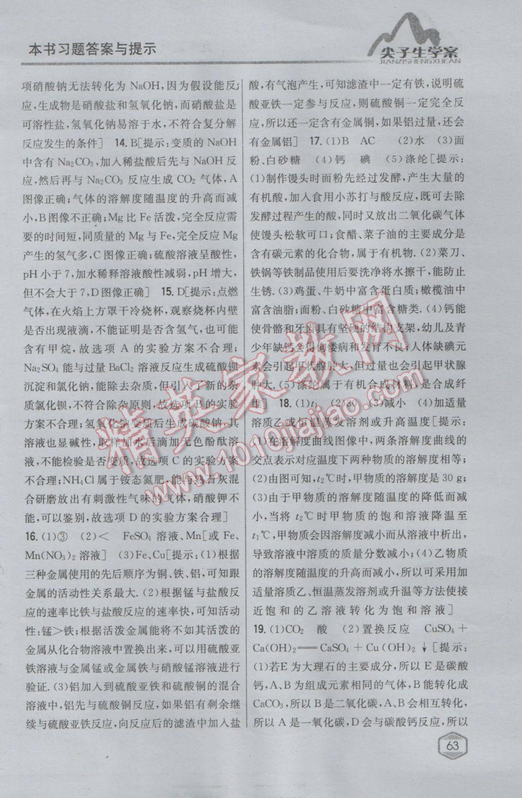 2017年尖子生學(xué)案九年級化學(xué)下冊人教版 參考答案第52頁