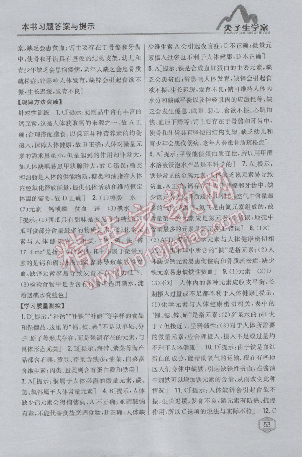 2017年尖子生學(xué)案九年級(jí)化學(xué)下冊(cè)人教版 參考答案第42頁