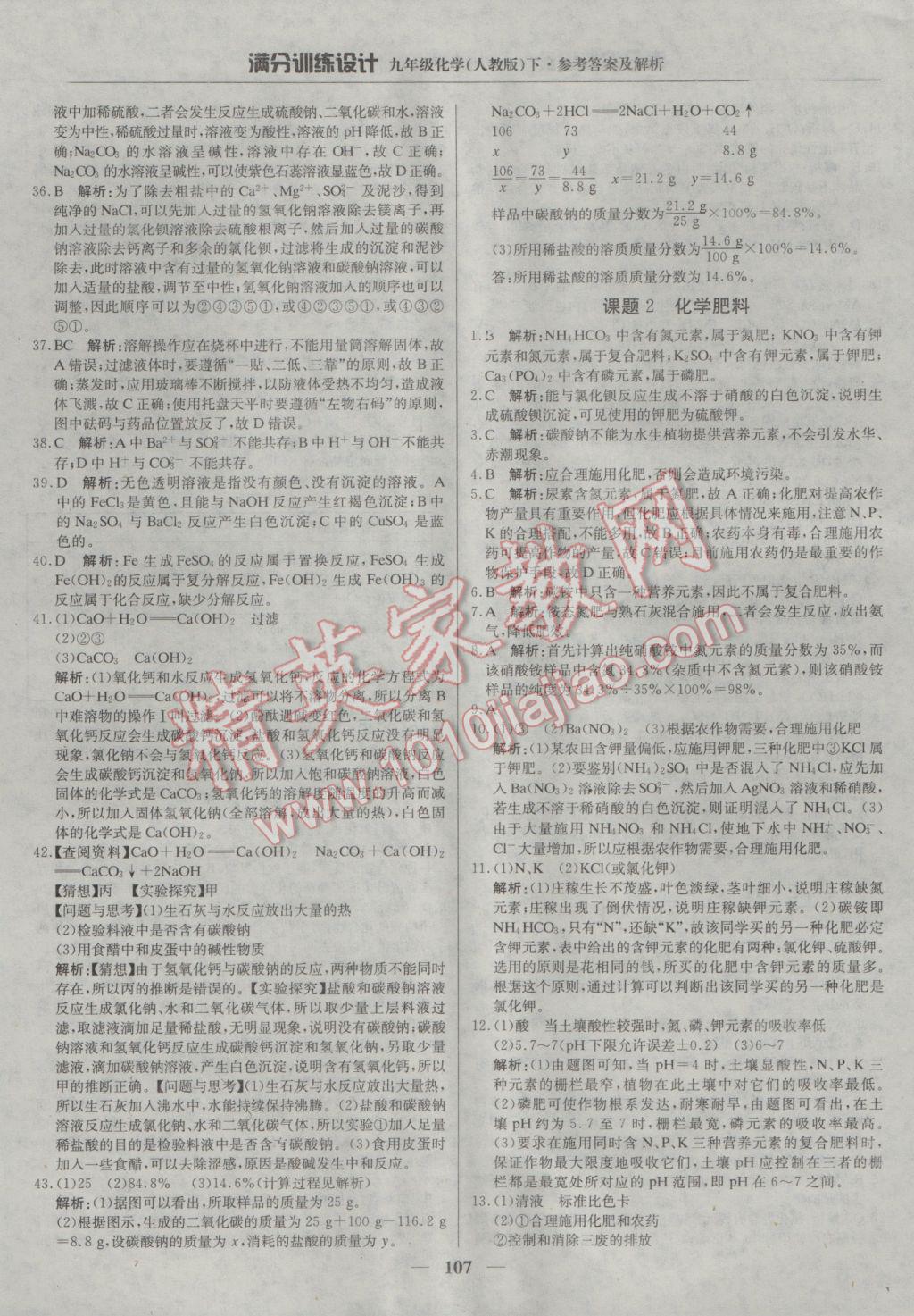 2017年满分训练设计九年级化学下册人教版 参考答案第20页