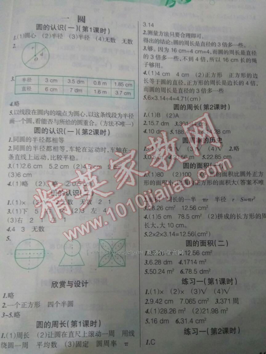 2016年自主学数学六年级上册北师大版 第10页