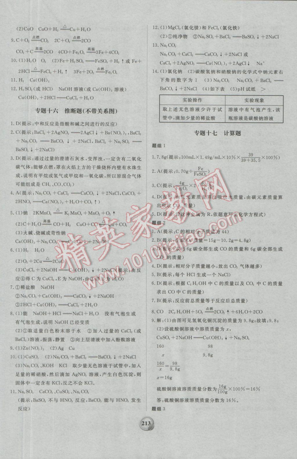 2017年昕金立文化河南中考一本全化學(xué) 參考答案第25頁