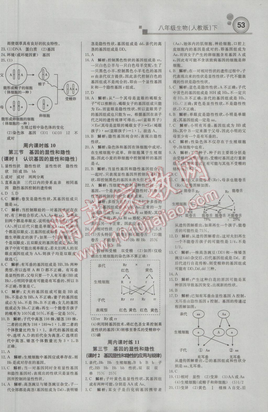 2017年輕巧奪冠周測(cè)月考直通中考八年級(jí)生物下冊(cè)人教版 參考答案