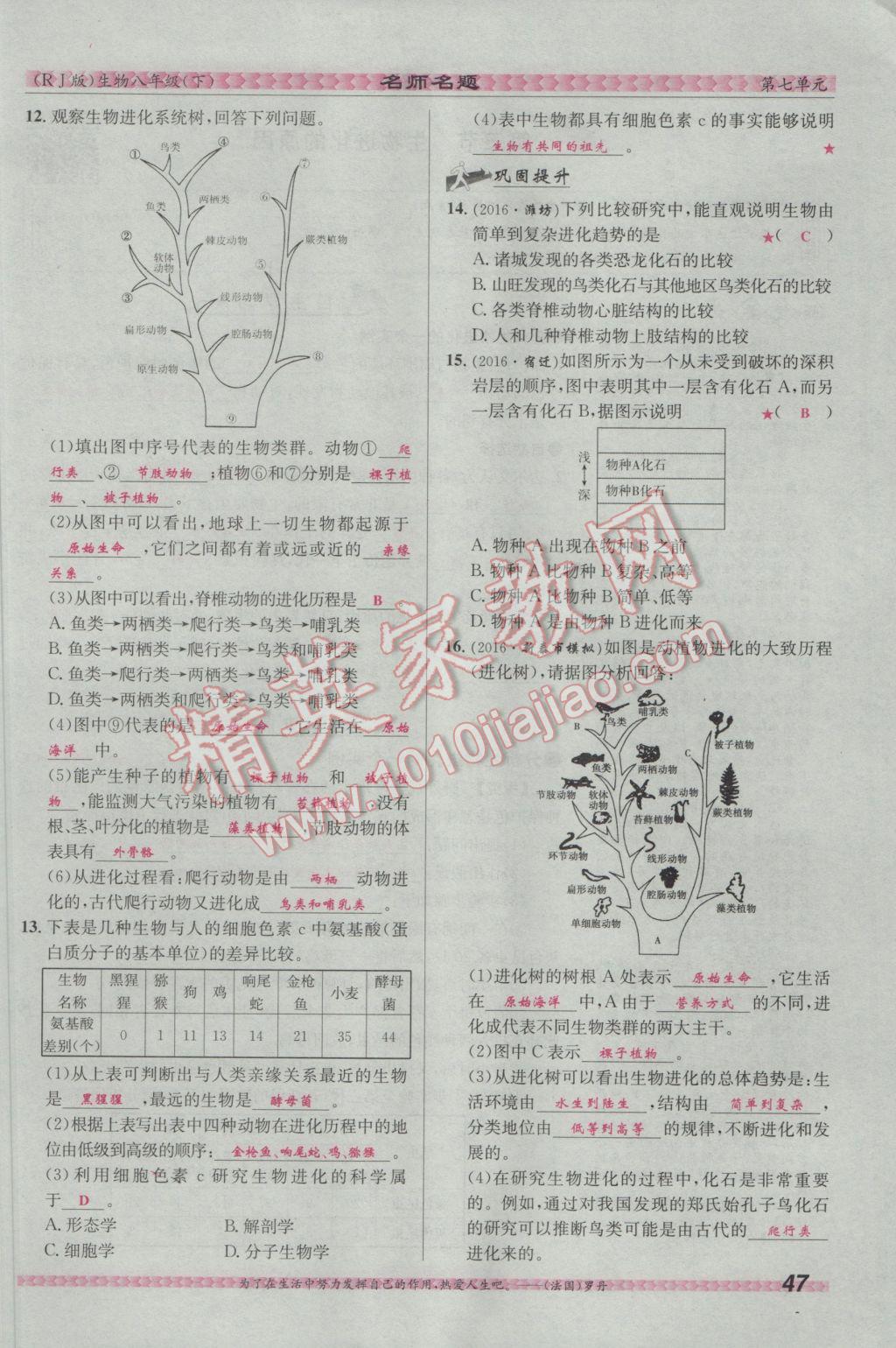 2017年優(yōu)學(xué)名師名題八年級(jí)生物下冊(cè)人教版 第七單元 生物圈中生命的延續(xù)和發(fā)展