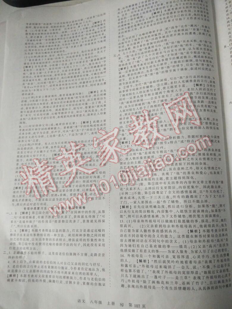 2016年王朝霞考點(diǎn)梳理時(shí)習(xí)卷八年級(jí)語(yǔ)文上冊(cè)蘇教版 第50頁(yè)